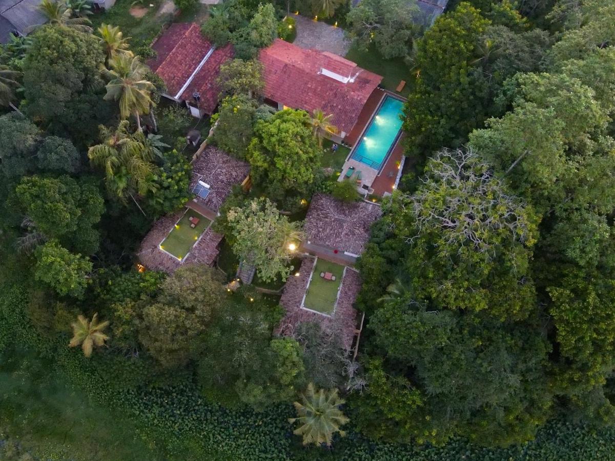 The Jungle Loft Galle Εξωτερικό φωτογραφία