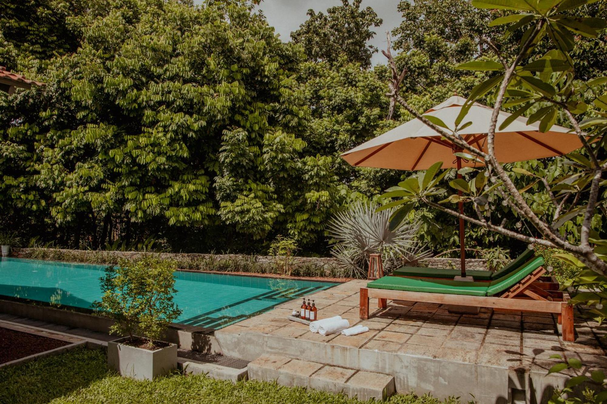 The Jungle Loft Galle Εξωτερικό φωτογραφία