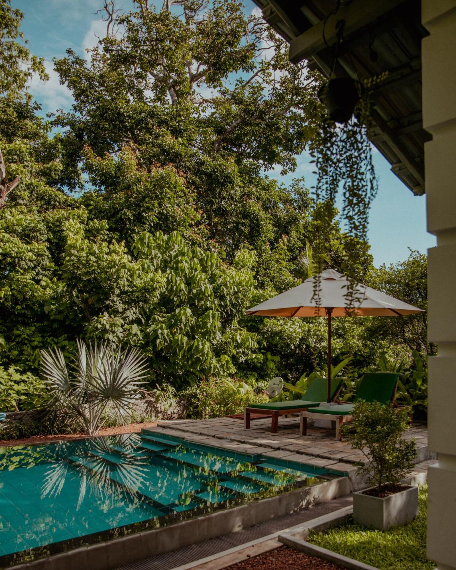 The Jungle Loft Galle Εξωτερικό φωτογραφία