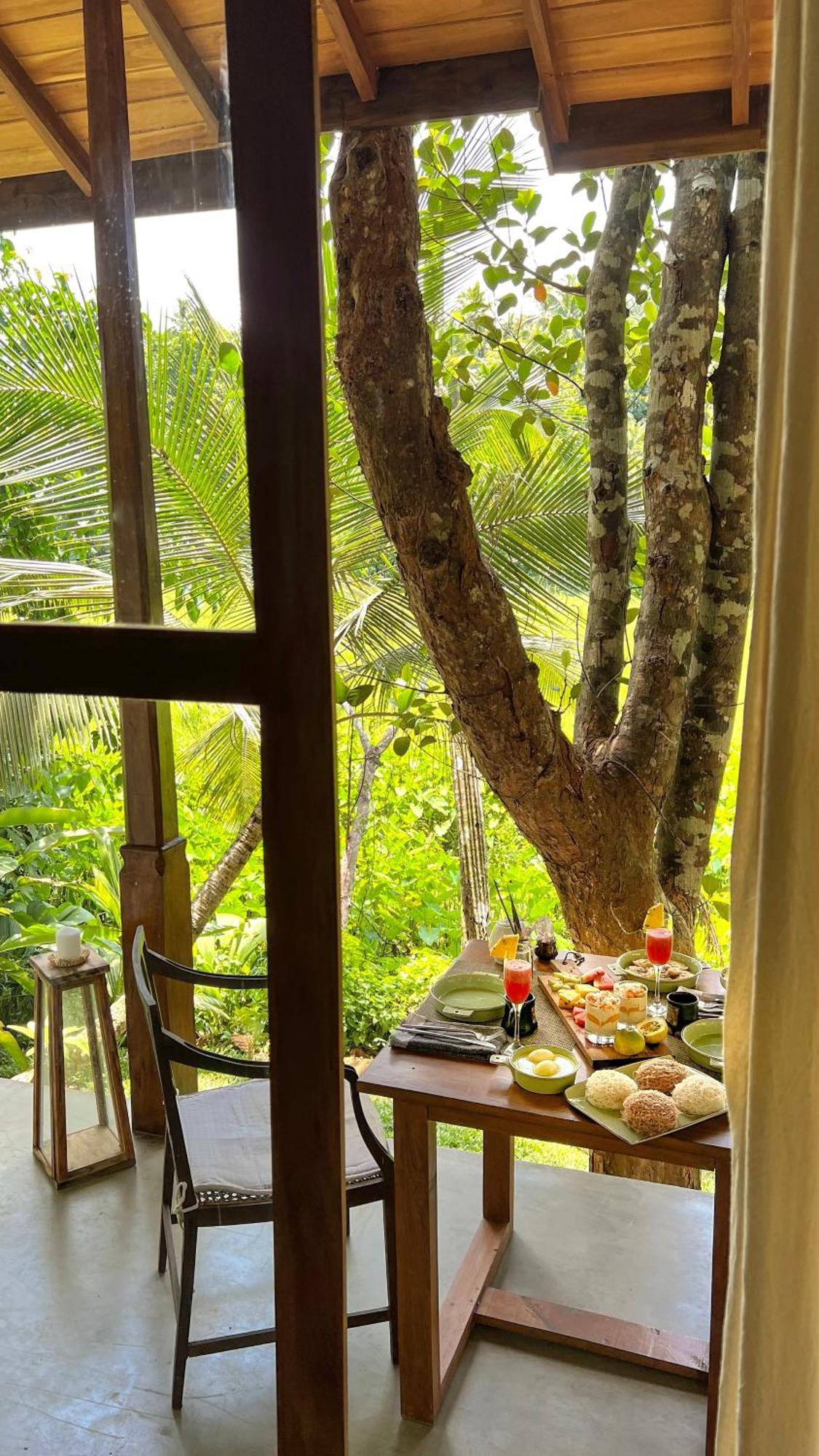 The Jungle Loft Galle Εξωτερικό φωτογραφία