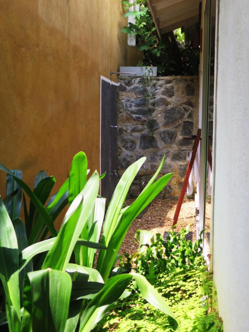 The Jungle Loft Galle Εξωτερικό φωτογραφία